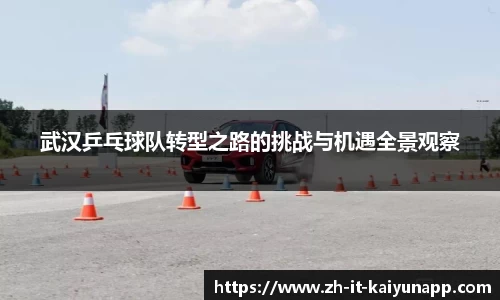 武汉乒乓球队转型之路的挑战与机遇全景观察